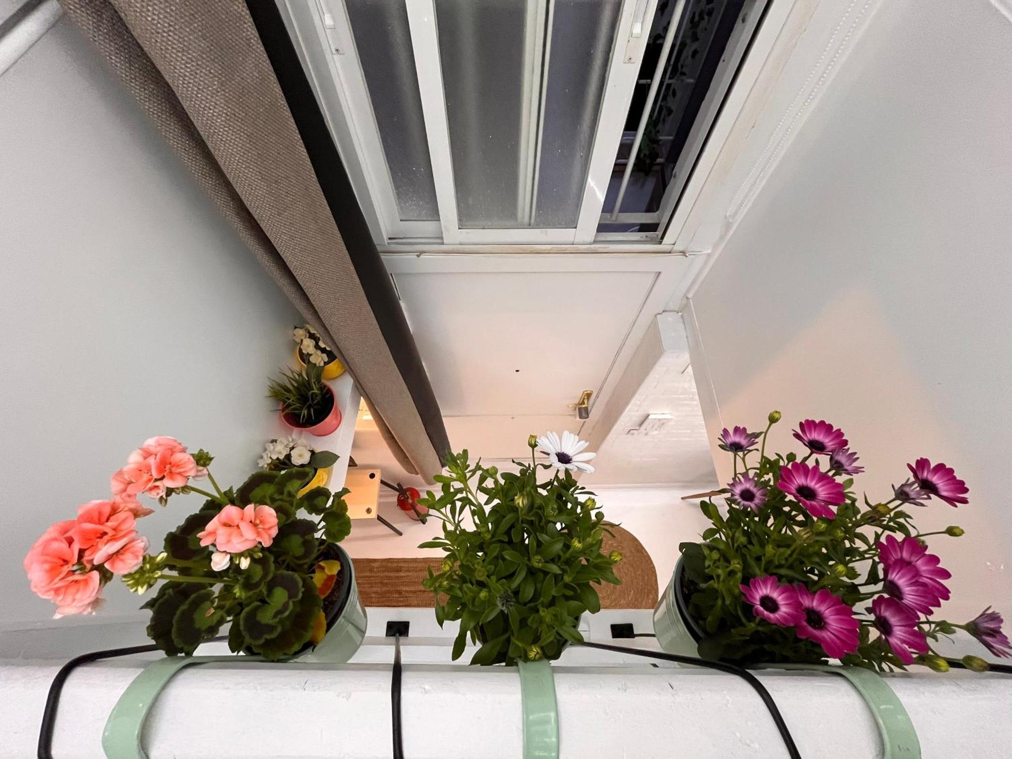 Mini Duplex4 Plaza Mayor Мадрид Екстериор снимка